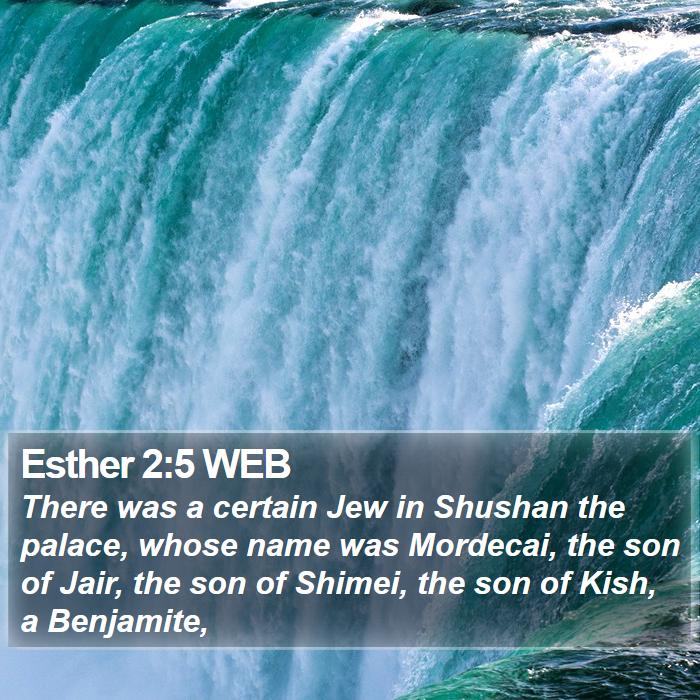 Esther 2:5 WEB Bible Study