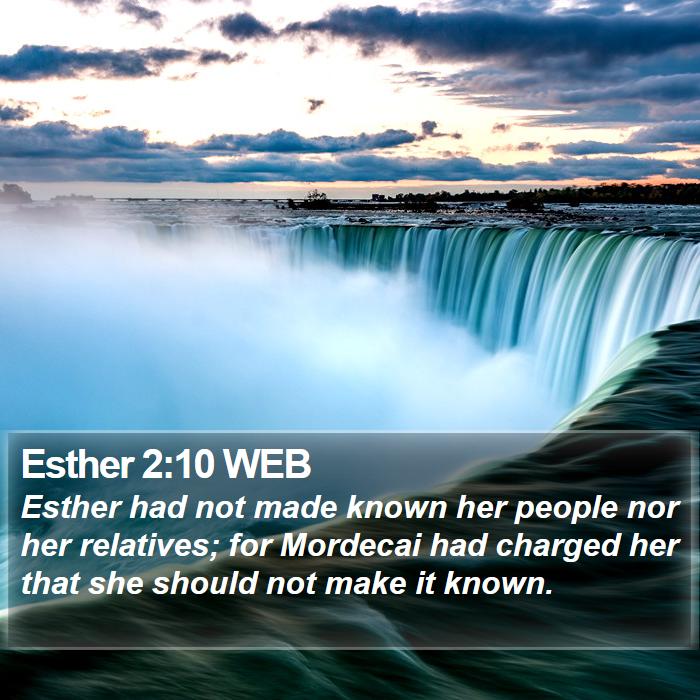 Esther 2:10 WEB Bible Study