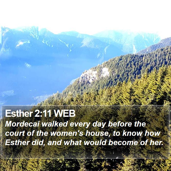 Esther 2:11 WEB Bible Study