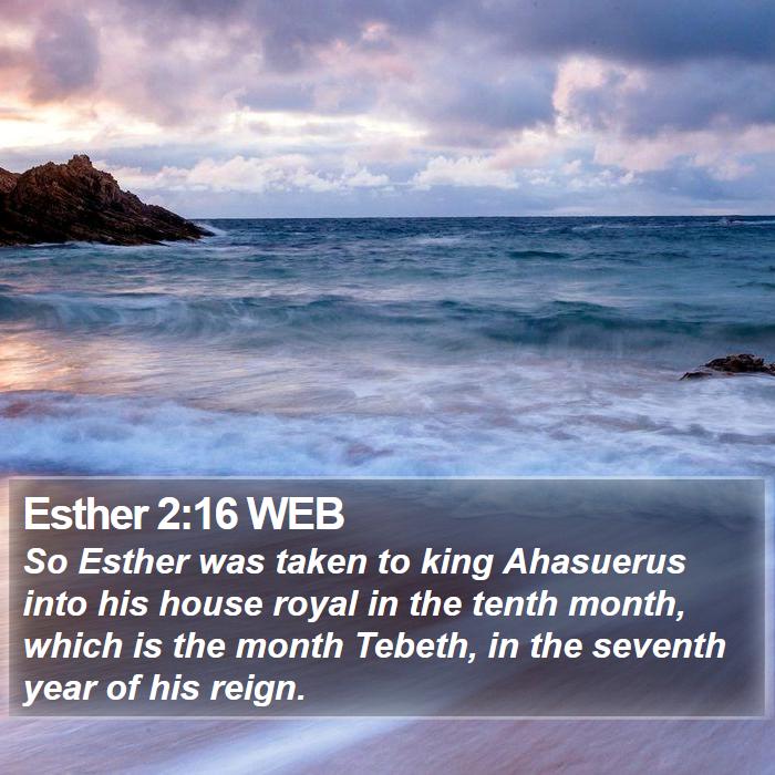 Esther 2:16 WEB Bible Study