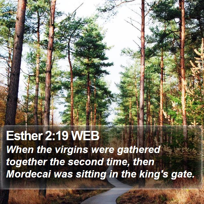 Esther 2:19 WEB Bible Study