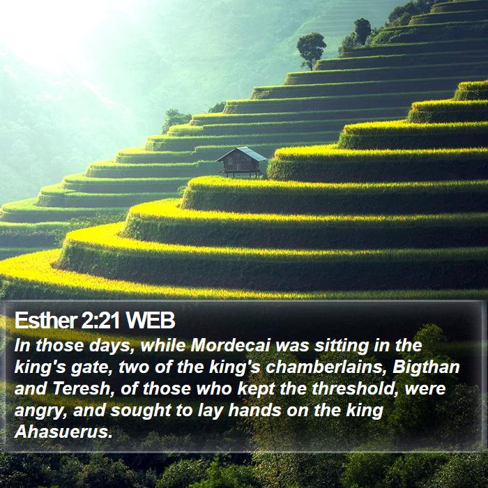 Esther 2:21 WEB Bible Study