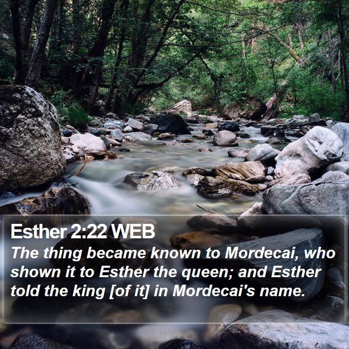 Esther 2:22 WEB Bible Study