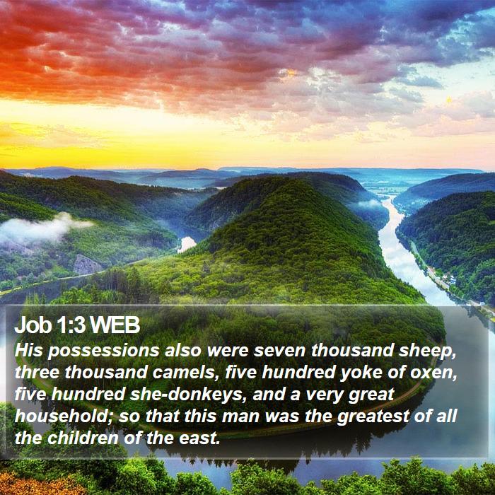 Job 1:3 WEB Bible Study