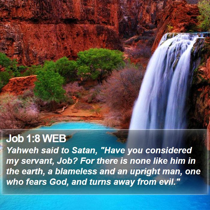 Job 1:8 WEB Bible Study