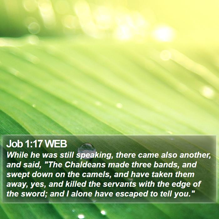 Job 1:17 WEB Bible Study