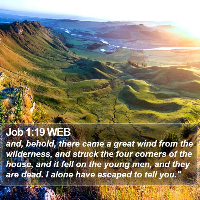 Job 1:19 WEB Bible Study