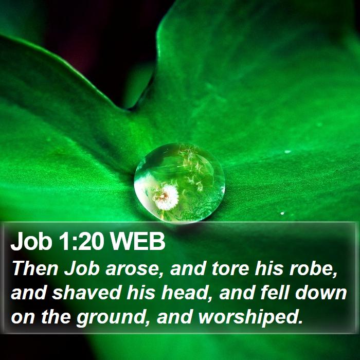 Job 1:20 WEB Bible Study