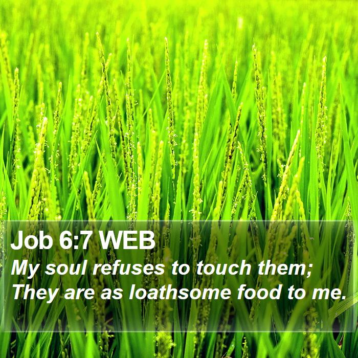 Job 6:7 WEB Bible Study