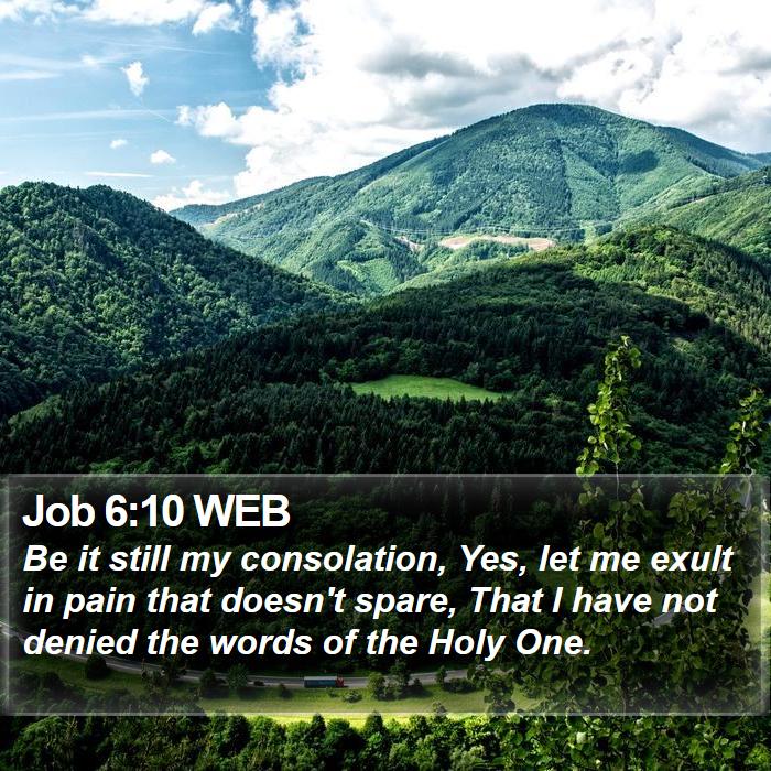 Job 6:10 WEB Bible Study