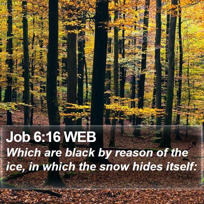 Job 6:16 WEB Bible Study