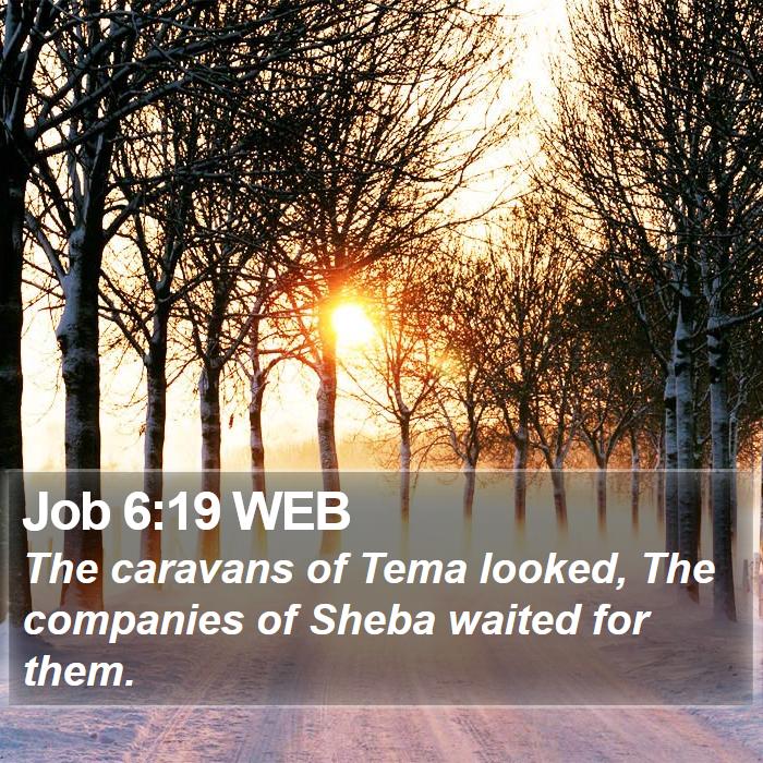 Job 6:19 WEB Bible Study