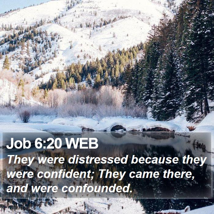 Job 6:20 WEB Bible Study