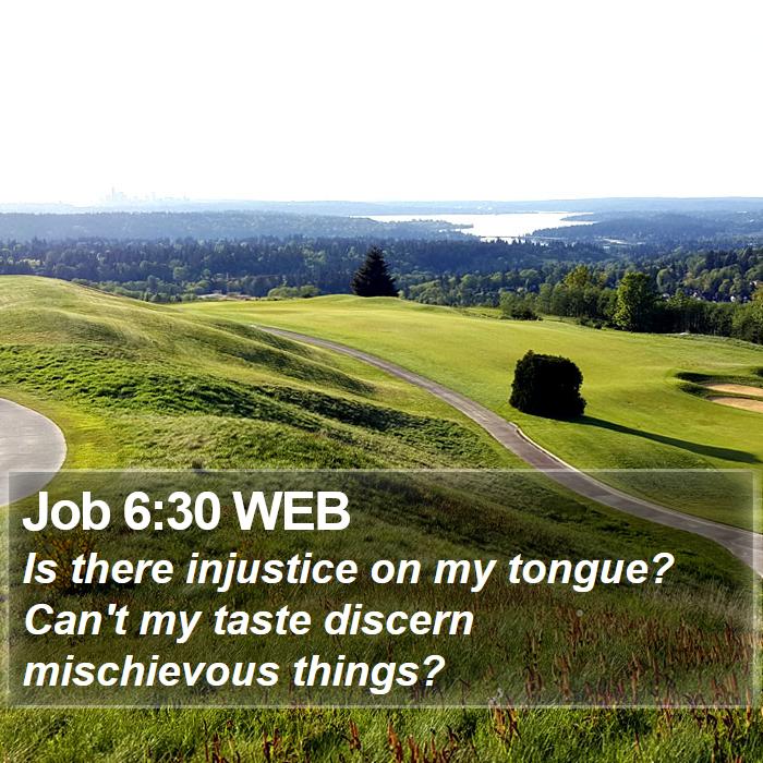 Job 6:30 WEB Bible Study