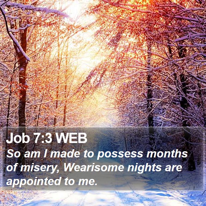 Job 7:3 WEB Bible Study