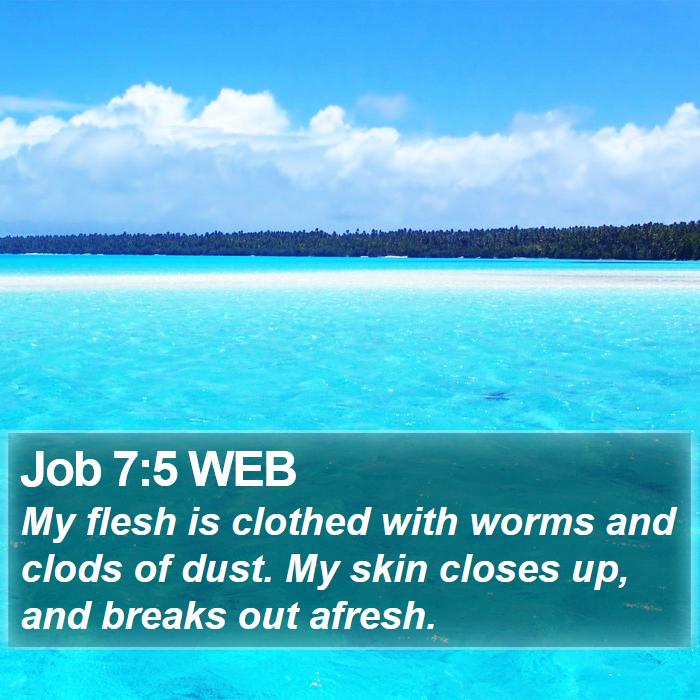 Job 7:5 WEB Bible Study