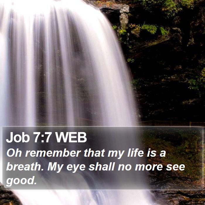 Job 7:7 WEB Bible Study