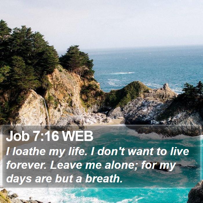 Job 7:16 WEB Bible Study