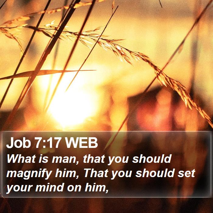 Job 7:17 WEB Bible Study