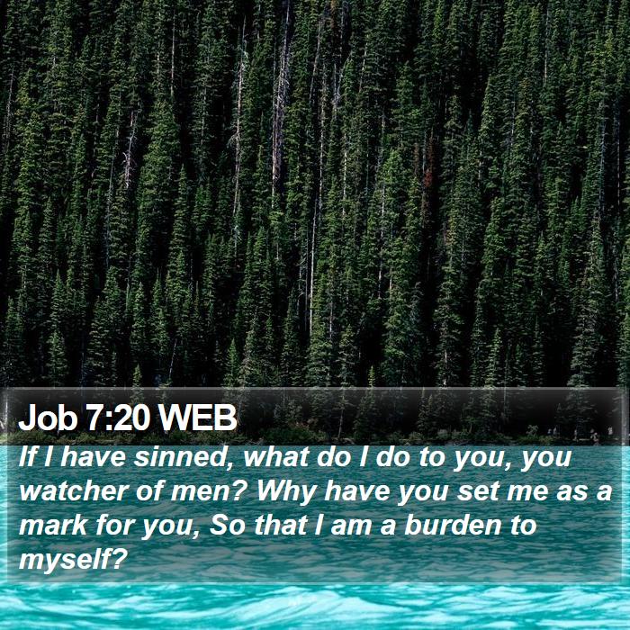 Job 7:20 WEB Bible Study