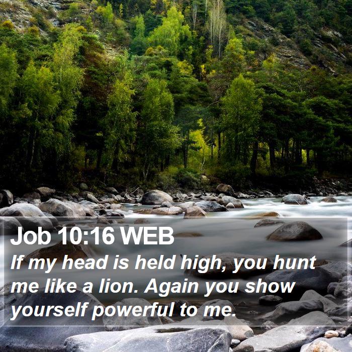 Job 10:16 WEB Bible Study