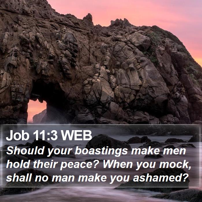 Job 11:3 WEB Bible Study