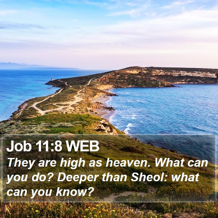 Job 11:8 WEB Bible Study