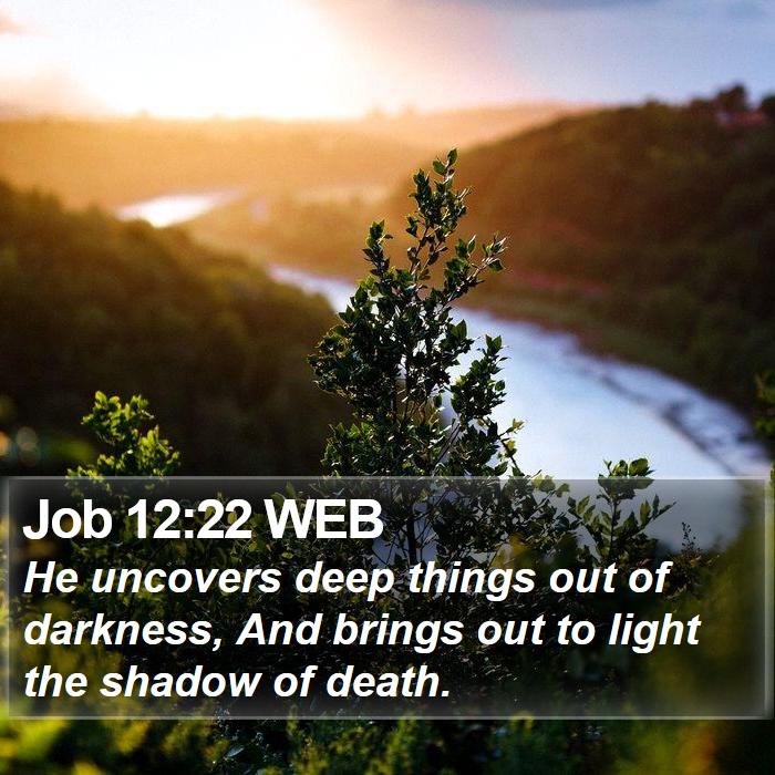 Job 12:22 WEB Bible Study