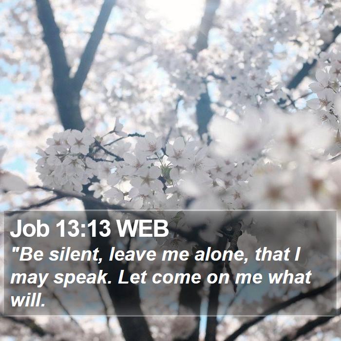 Job 13:13 WEB Bible Study