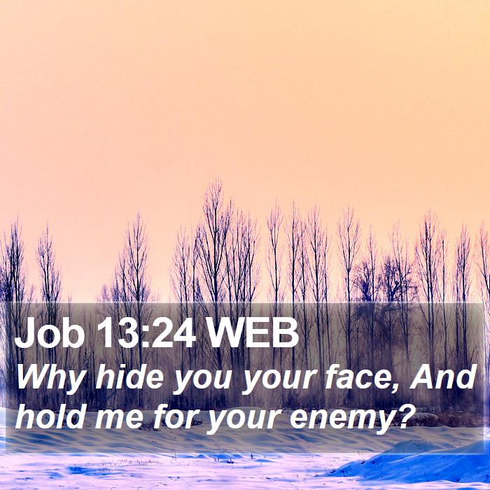 Job 13:24 WEB Bible Study