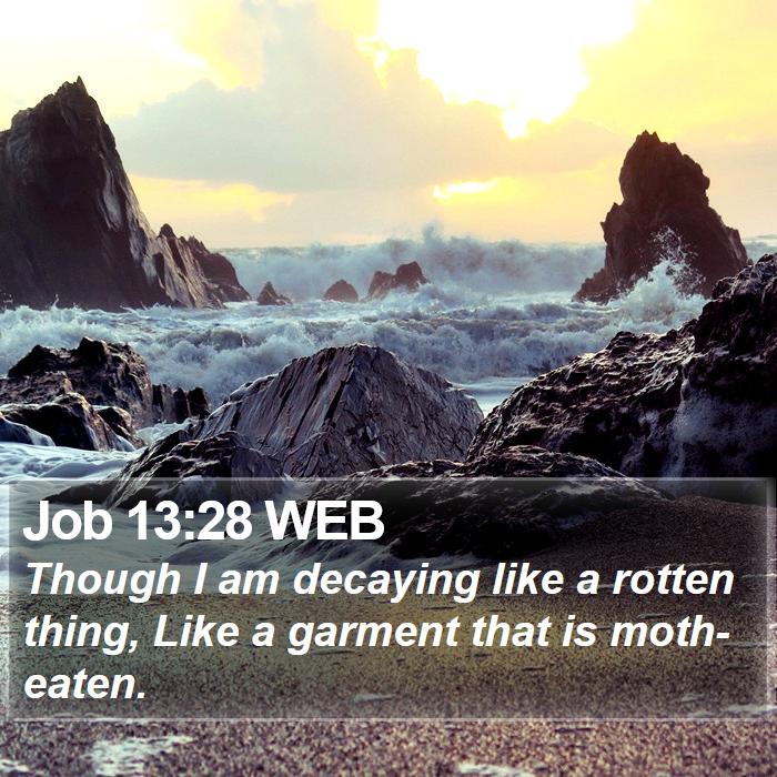 Job 13:28 WEB Bible Study