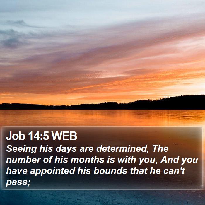 Job 14:5 WEB Bible Study