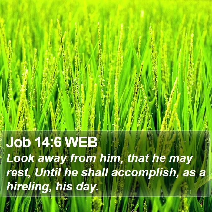 Job 14:6 WEB Bible Study