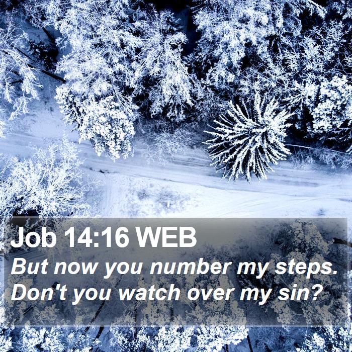 Job 14:16 WEB Bible Study