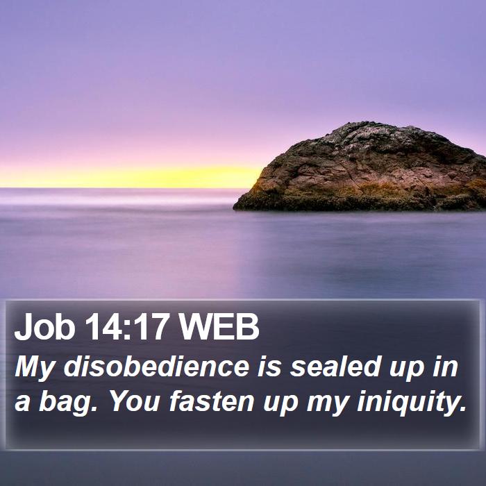 Job 14:17 WEB Bible Study