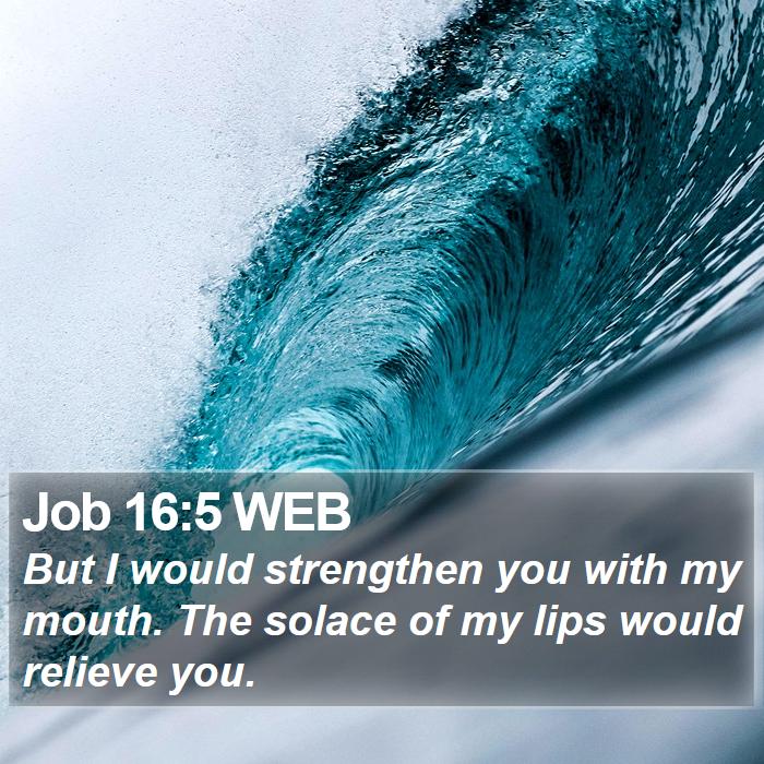 Job 16:5 WEB Bible Study