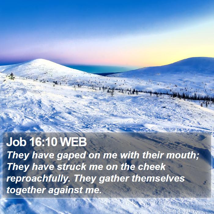 Job 16:10 WEB Bible Study