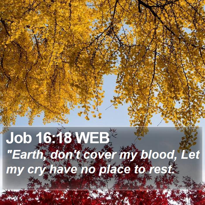 Job 16:18 WEB Bible Study