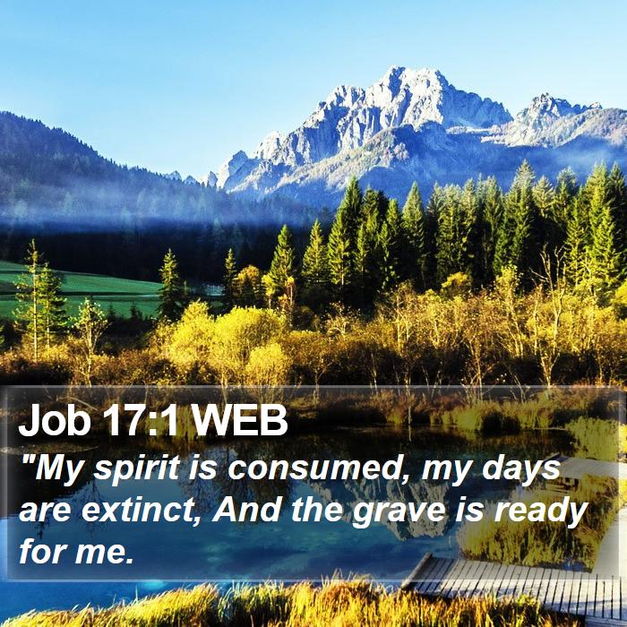 Job 17:1 WEB Bible Study