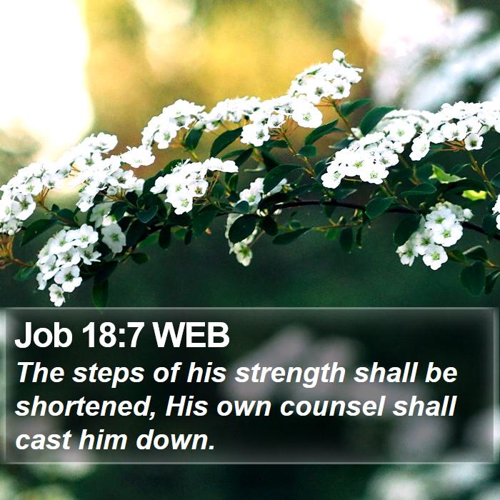 Job 18:7 WEB Bible Study