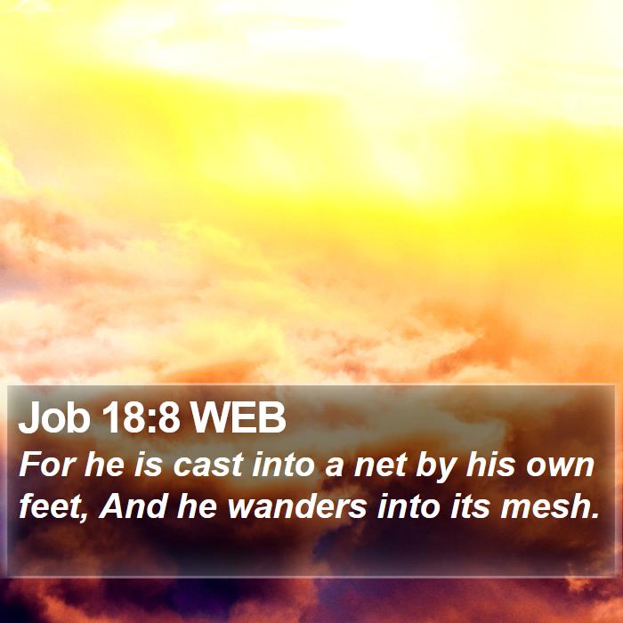 Job 18:8 WEB Bible Study