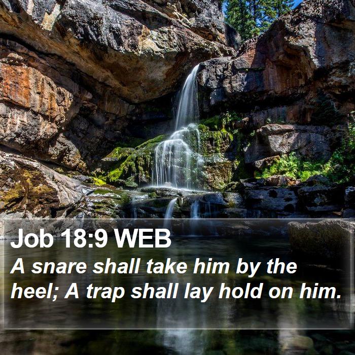 Job 18:9 WEB Bible Study