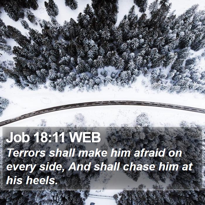 Job 18:11 WEB Bible Study