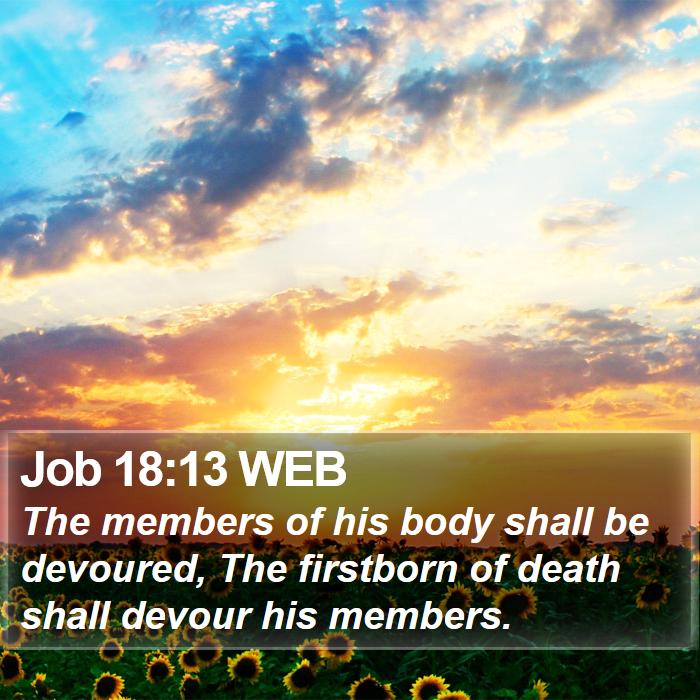 Job 18:13 WEB Bible Study