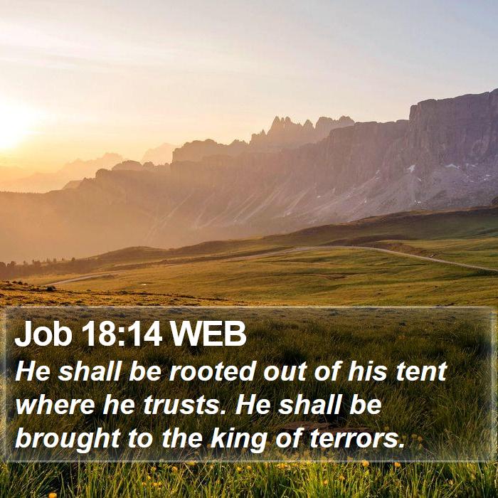 Job 18:14 WEB Bible Study