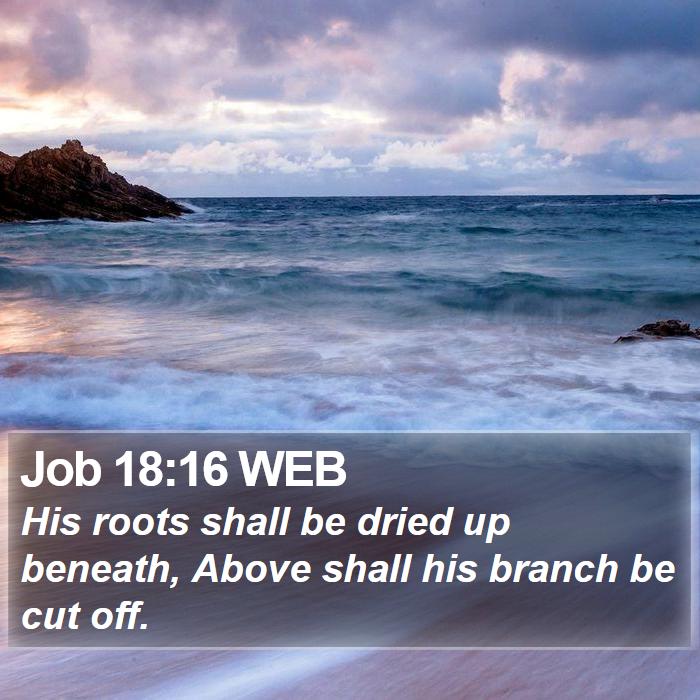 Job 18:16 WEB Bible Study