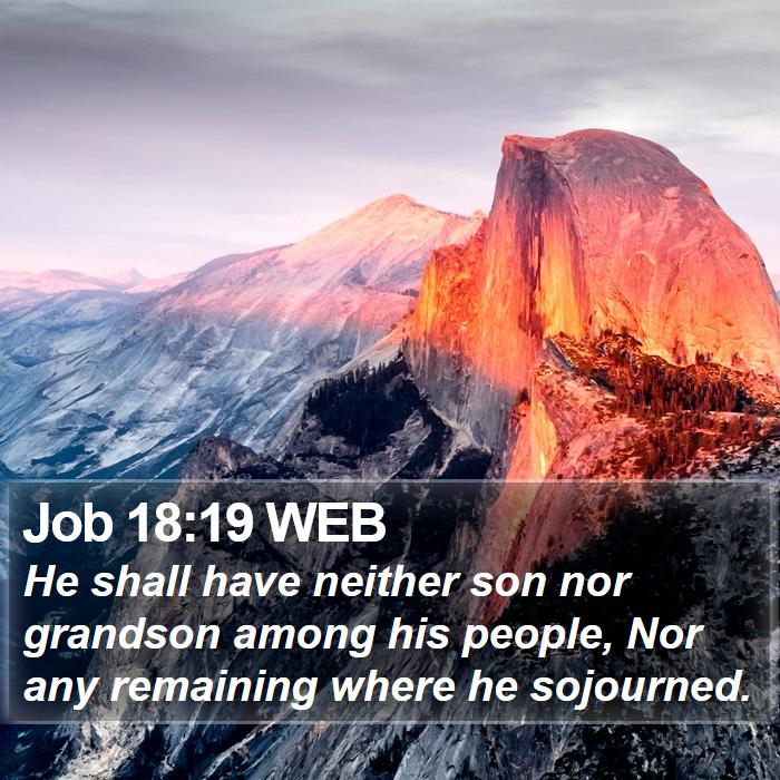 Job 18:19 WEB Bible Study