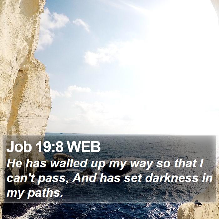 Job 19:8 WEB Bible Study