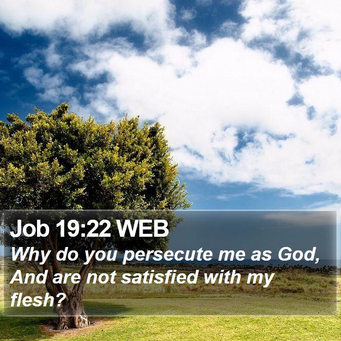 Job 19:22 WEB Bible Study