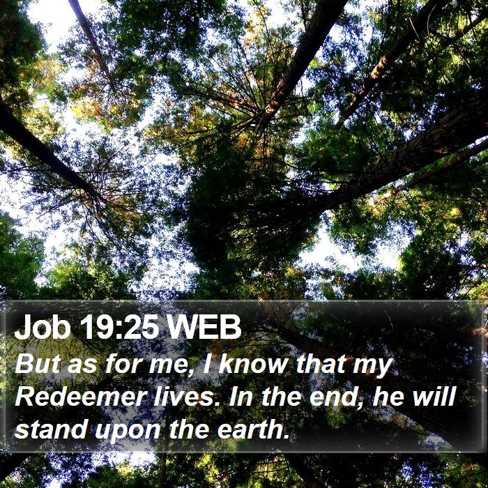 Job 19:25 WEB Bible Study